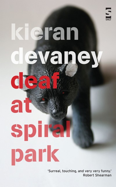 Deaf at Spiral Park, Kieran Devaney
