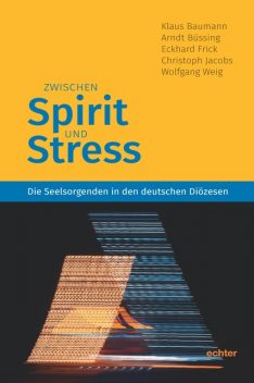 Zwischen Spirit und Stress, Eckhard Frick, Arndt Büssing, Christoph Jacobs, Klaus Baumann, Wolfgang Weig