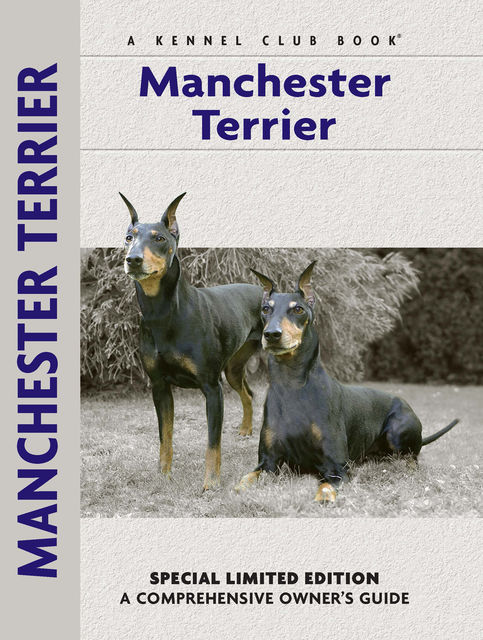 Manchester Terrier, Muriel P. Lee