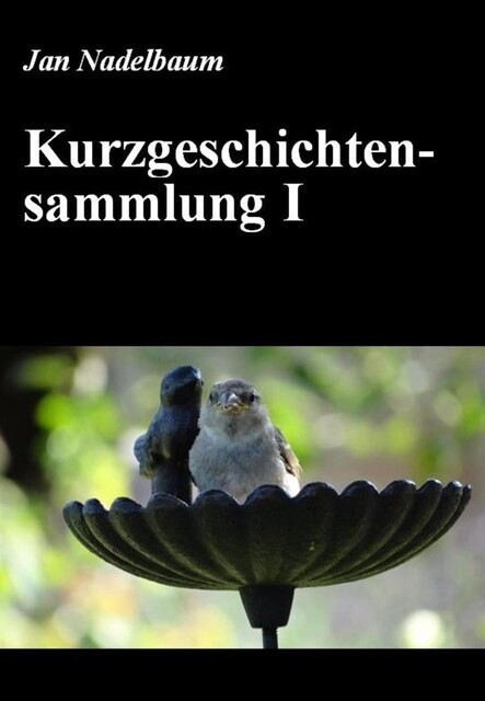 Kurzgeschichtensammlung I, Jan Nadelbaum