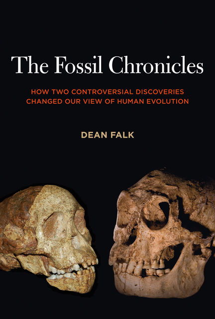 The Fossil Chronicles, Dean Falk