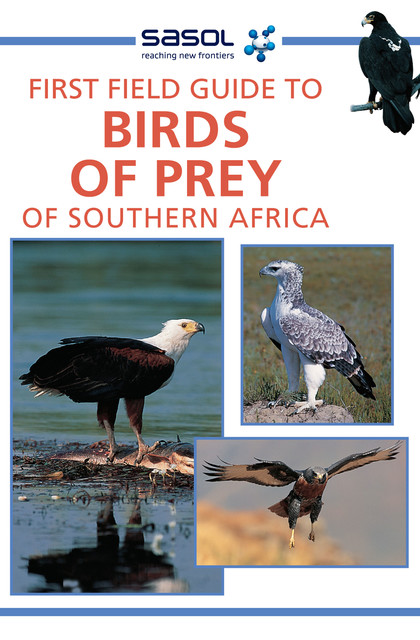 First Field Guide to Birds of Prey of Southern Africa, David Allan