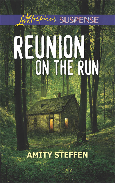 Reunion On The Run, Amity Steffen