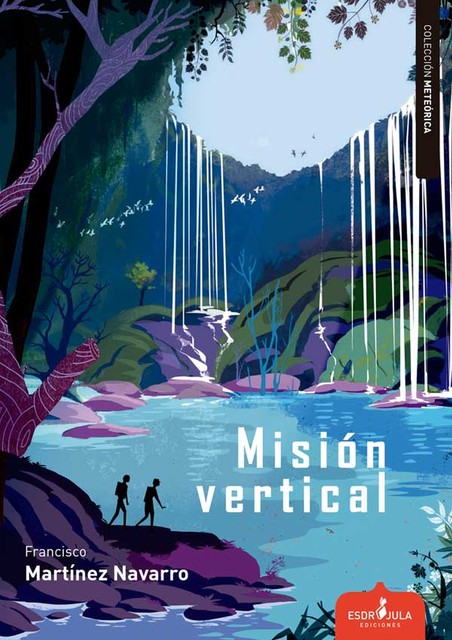 Misión vertical, Francisco Martínez Navarro
