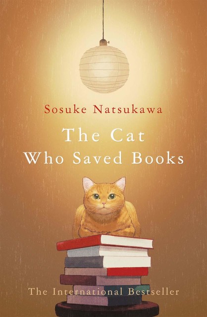 The Cat Who Saved Books, Sosuke Natsukawa