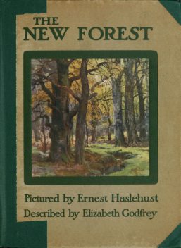 The New Forest, Elizabeth Godfrey