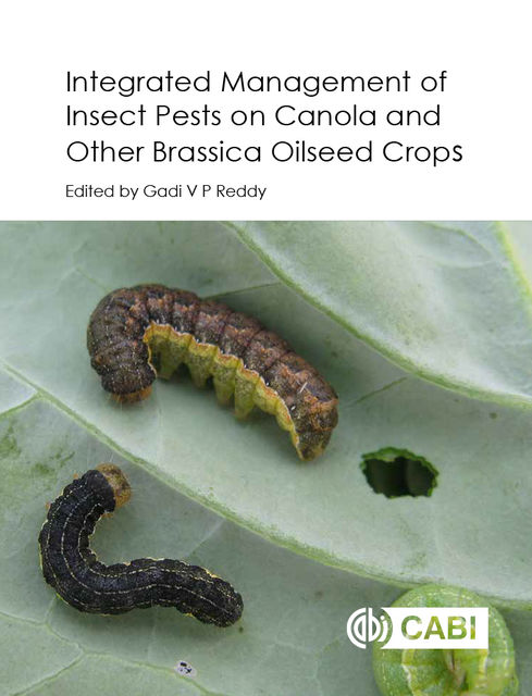 Integrated management of Insect Pests on Canola and other Brassica Oilseed Crops, Dhana Raj Boina, G David Buntin, Harit K Bal, Hector Cárcamo, James D Blande, John Gavloski, Kevin D Floate, Kristopher, Maya Evenden, Randall Brandt, Robert H Elliott, Ronald E Batallas, Surendra Dara, Tim J Dumonceaux, Tulsi Bhardwaj, Yaghoub Fathipour