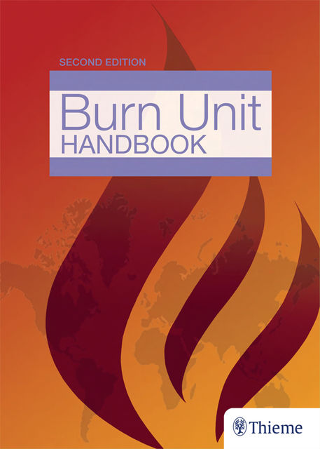 The Essential Burn Unit Handbook, Jeffrey J. Roth, William B Hughes