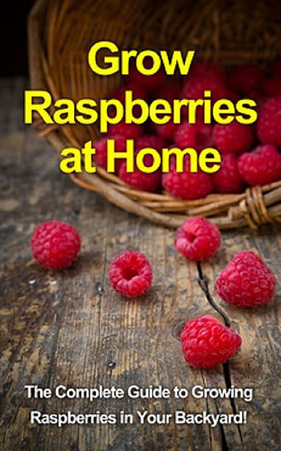 Grow Raspberries at Home, Steve Ryan