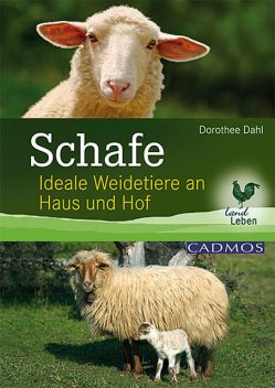 Schafe, Dorothee Dahl