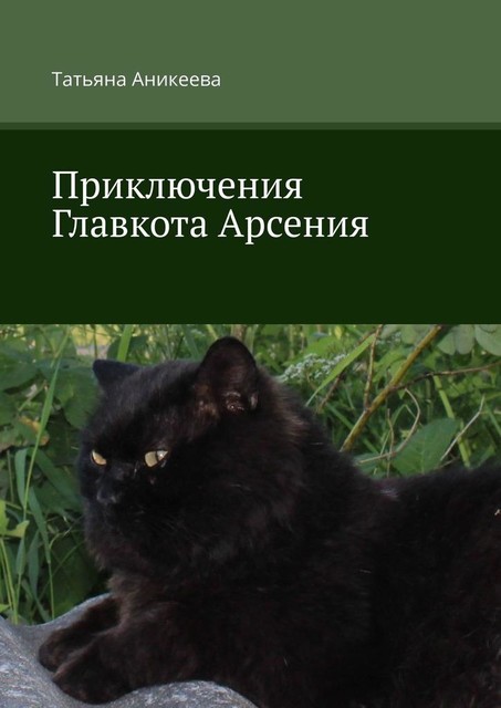 Приключения Главкота Арсения, Татьяна Аникеева
