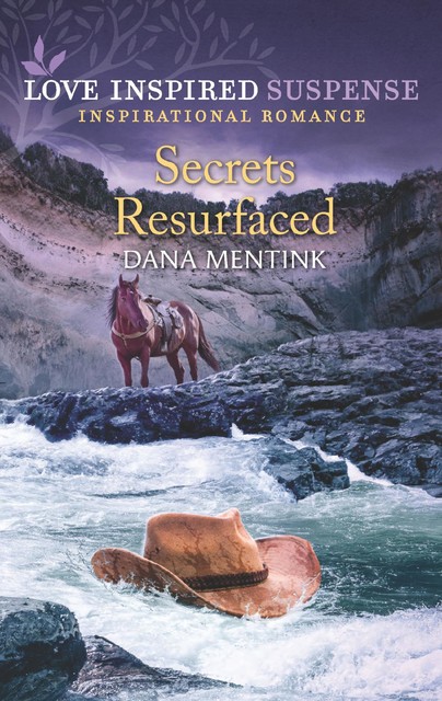 Secrets Resurfaced, Dana Mentink