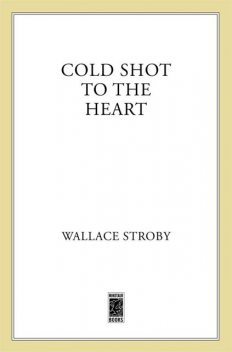 Cold Shot to the Heart, Wallace Stroby
