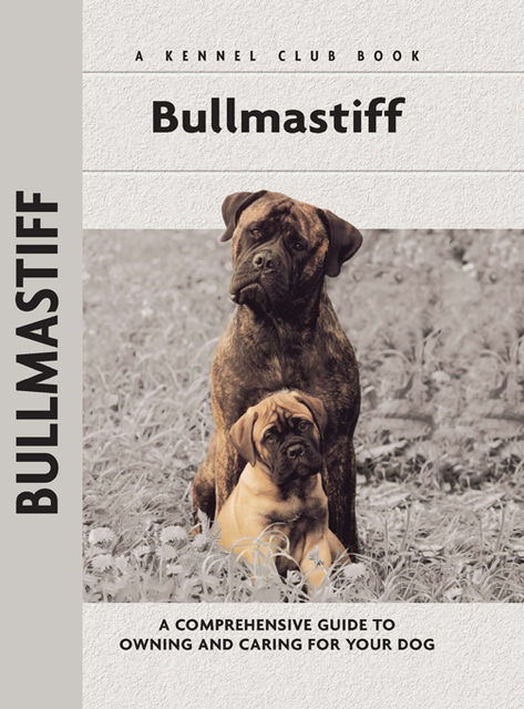 Bullmastiff, Juliette Cunliffe