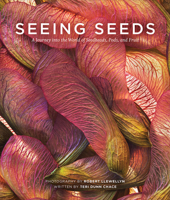 Seeing Seeds, Robert Llewellyn, Teri Dunn Chace