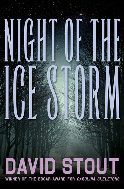 Night of the Ice Storm, David Stout