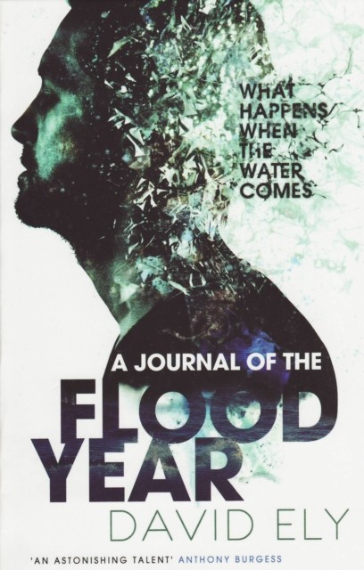 Journal Of The Flood Year, David Ely