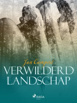 Verwilderd landschap, Jan Campert