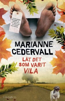 Låt det som varit vila, Marianne Cedervall