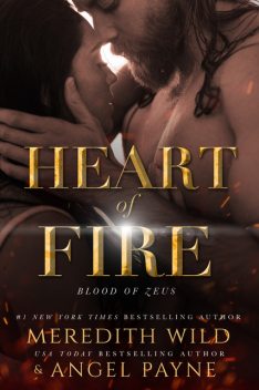 Heart of Fire, Meredith Wild, Angel Payne