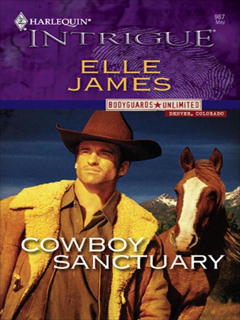 Cowboy Sanctuary, Elle James