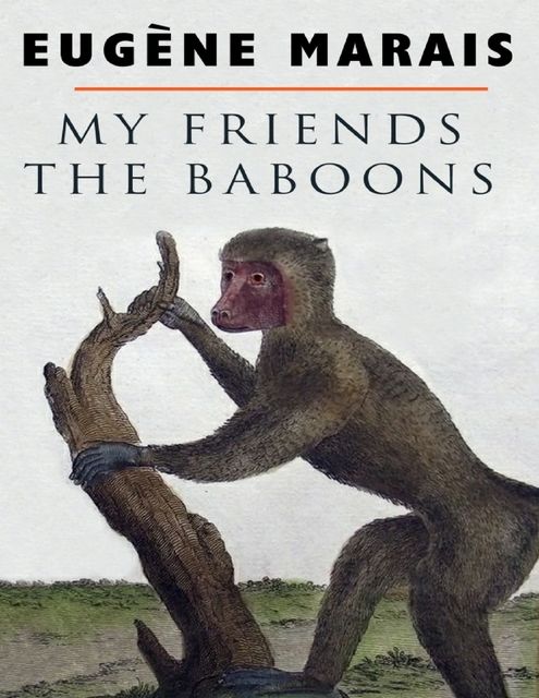 My Friends the Baboons, Eugene Marais
