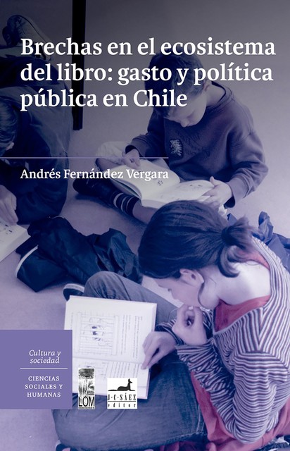 Brechas en el ecosistema del libro: gasto y política pública en Chile, Andrés Fernández Vergara