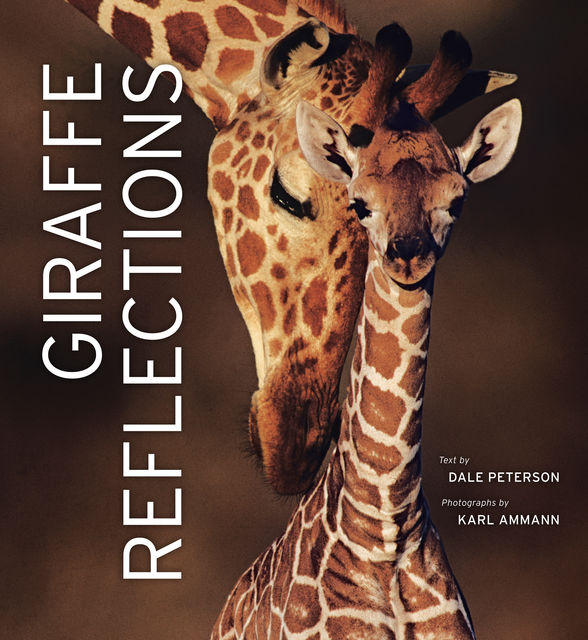 Giraffe Reflections, Dale Peterson