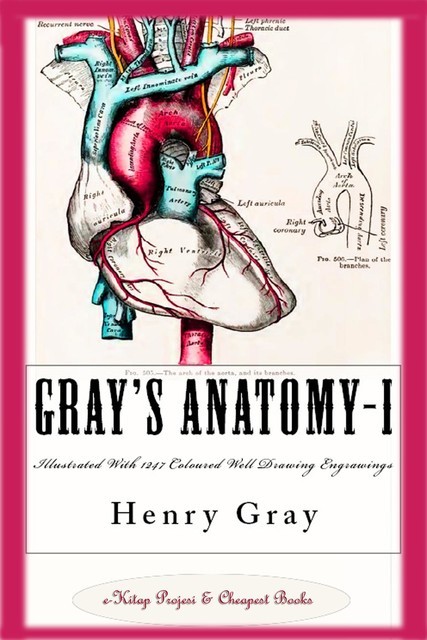 Gray's Anatomy-I, Henry Gray