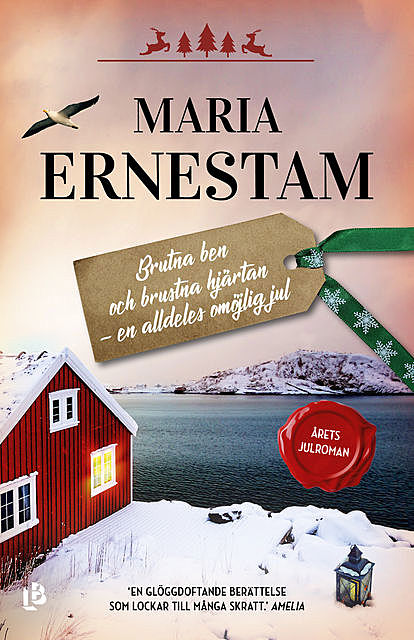 Brutna ben och brustna hjärtan – en alldeles omöjlig jul, Maria Ernestam