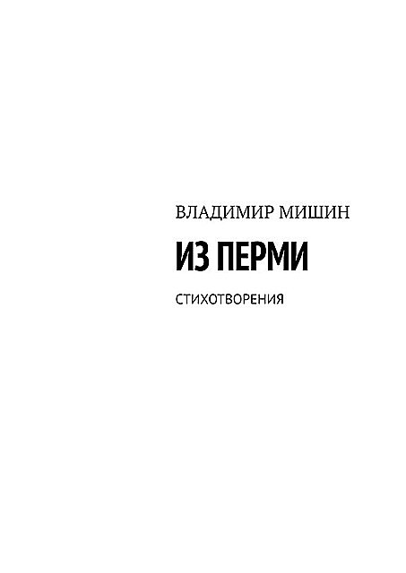 Из Перми. Стихотворения, Владимир Мишин