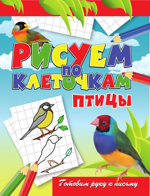 Птицы, Виктор Зайцев