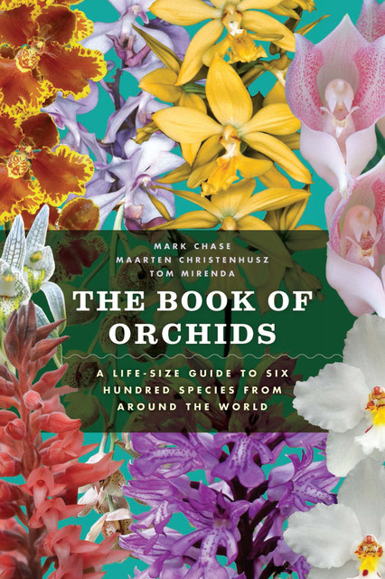The Book of Orchids, Maarten Christenhusz, Mark Chase, Tom MIrenda