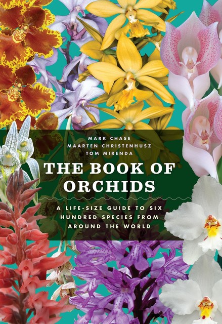 The Book of Orchids, Maarten Christenhusz, Mark Chase, Tom MIrenda