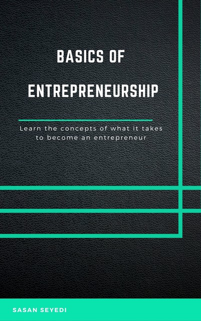The Basics of Entrepreneurship, Sasan Seyedi