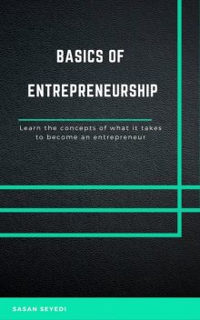 The Basics of Entrepreneurship, Sasan Seyedi