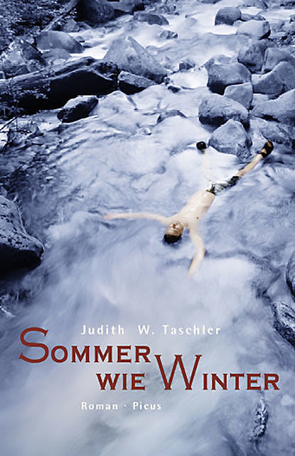 Sommer wie Winter, Judith W. Taschler