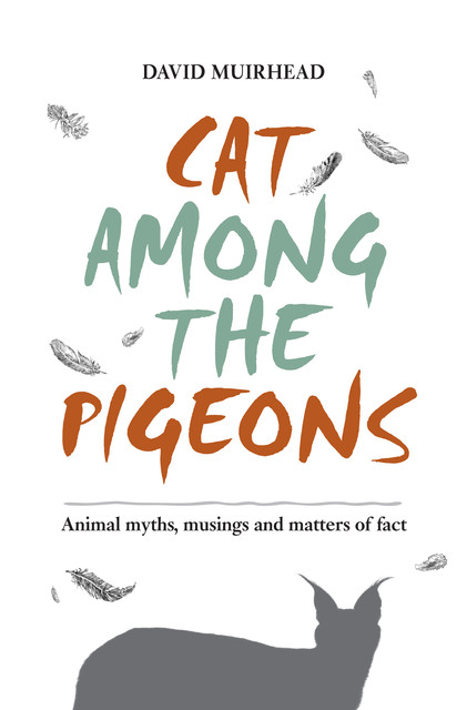 Cat among the pigeons, David Muirhead