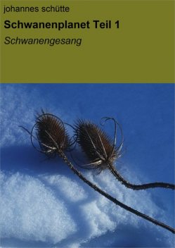 Schwanenplanet, Johannes Schütte