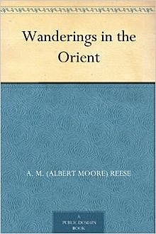 Wanderings in the Orient, Albert Moore Reese