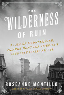 The Wilderness of Ruin, Roseanne Montillo
