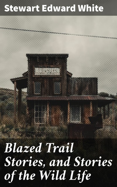 Blazed Trail Stories and Stories of the Wild Life, Stewart Edward White