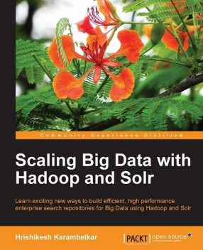 Scaling Big Data with Hadoop and Solr, 