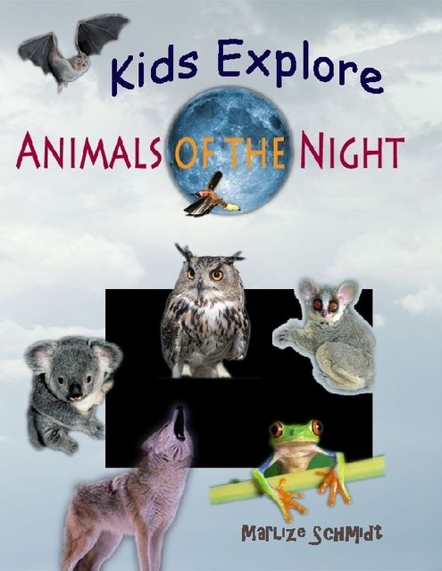 Kids Explore: Animals of the Night, Marlize Schmidt