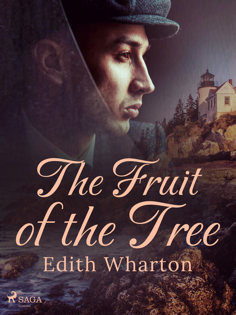 The Fruit of the Tree, Edith Wharton