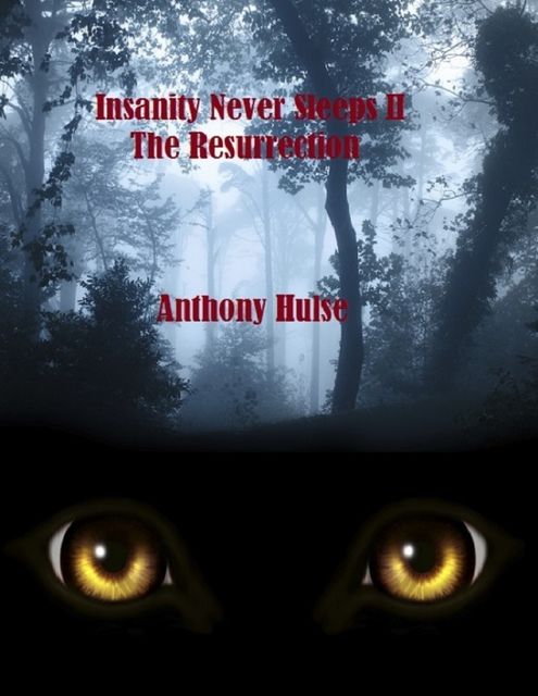 Insanity Never Sleeps, Anthony Hulse