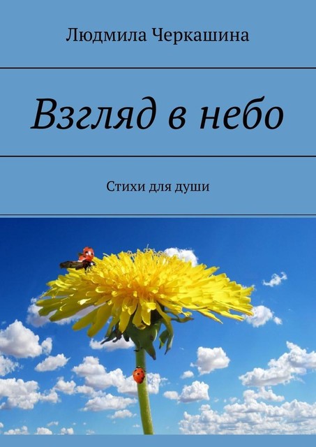 Взгляд в небо, Людмила Черкашина