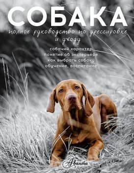 Ваша собака-телохранитель, Елена Мычко, Владимир Беленький