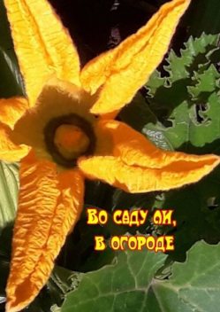 Во саду ли, в огороде, Н.Ф. Козлова
