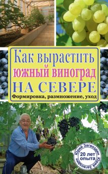 Как вырастить южный виноград на севере, Юрий Загвоздин